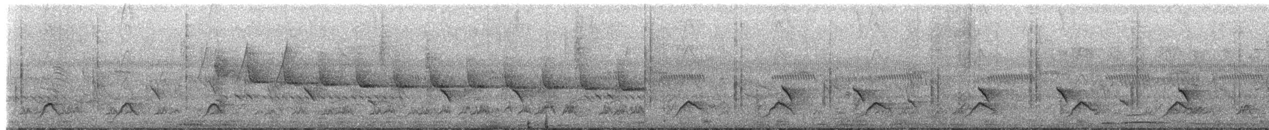 Кубла строката - ML650949521