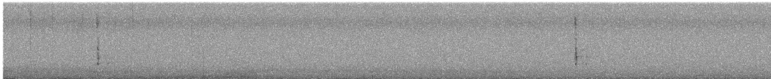 Дрізд чорний - ML650957207