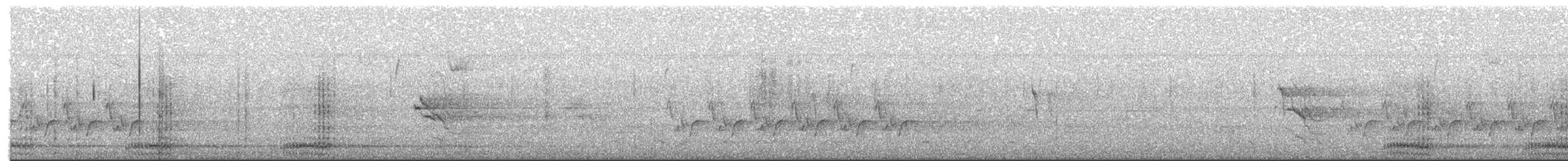 Крук звичайний - ML650958354