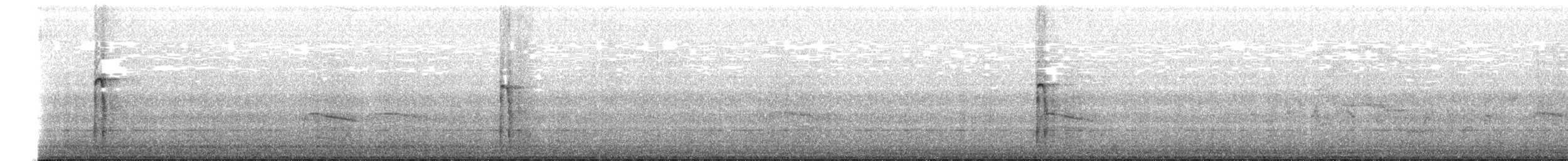 Hairy Woodpecker - ML650960204