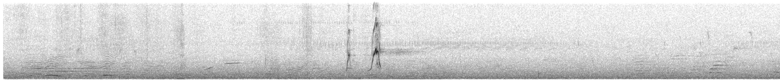 White-backed Duck - ML650963103