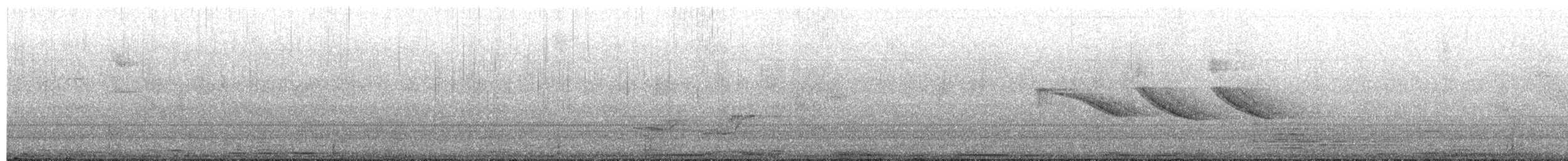 Eared Dove - ML650966632