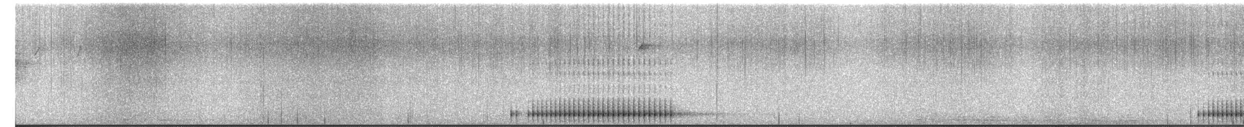 Hairy Woodpecker - ML650966820