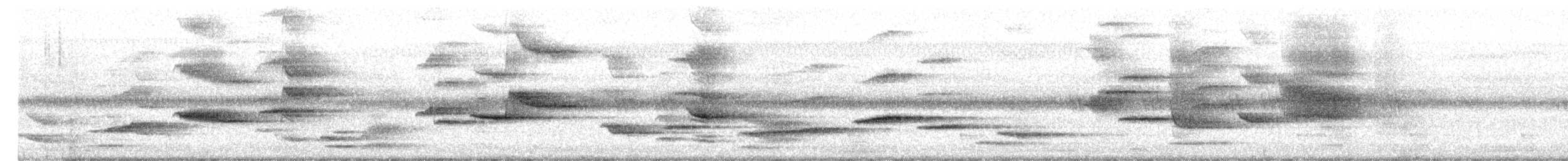 白斑紫嘯鶇(黃嘴) - ML650967950