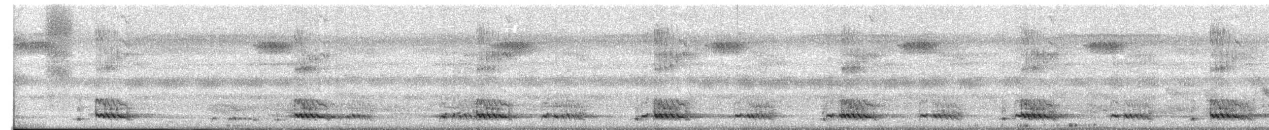 White-cheeked Barbet - ML650970547