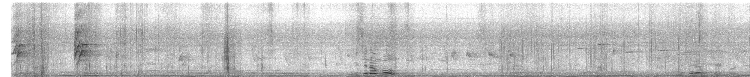 Plum-headed Parakeet - ML650974969