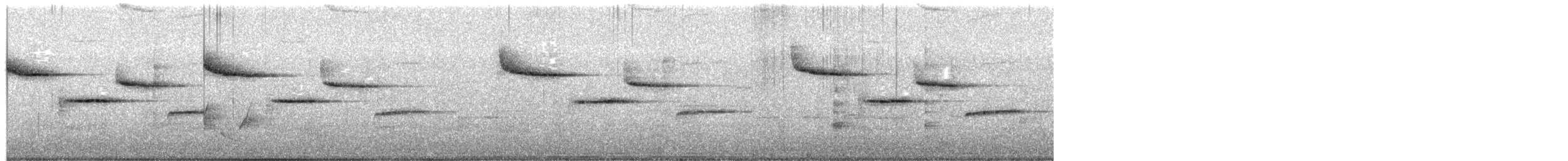 Carolina Chickadee - ML650975375