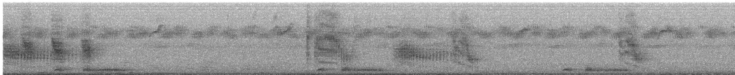 Кубла строката - ML650980348