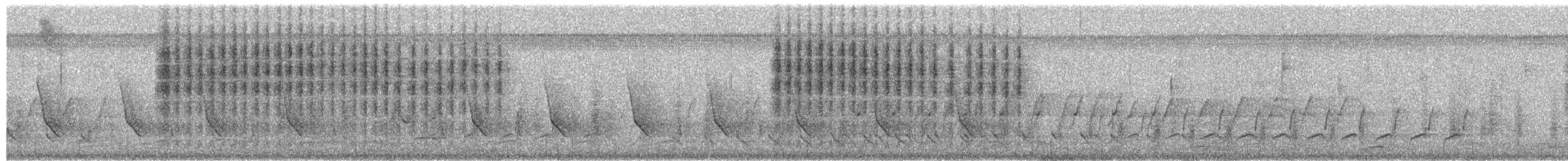 Northern House Wren - ML650982619