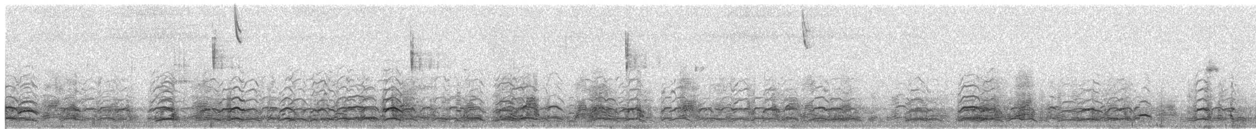 Гуска біла - ML650982672