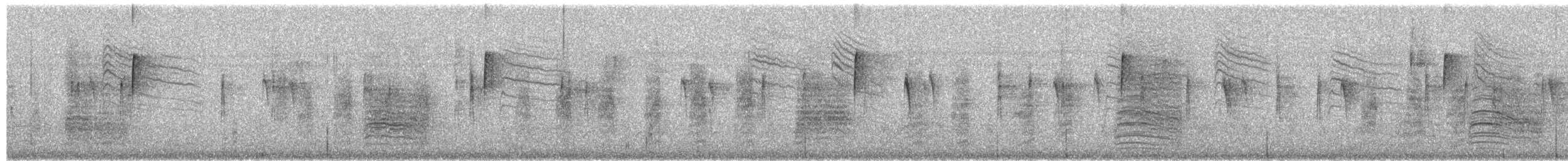 Пересмішник сірий - ML650982830