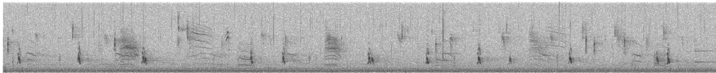 Дрізд-короткодзьоб плямистоволий - ML650983359