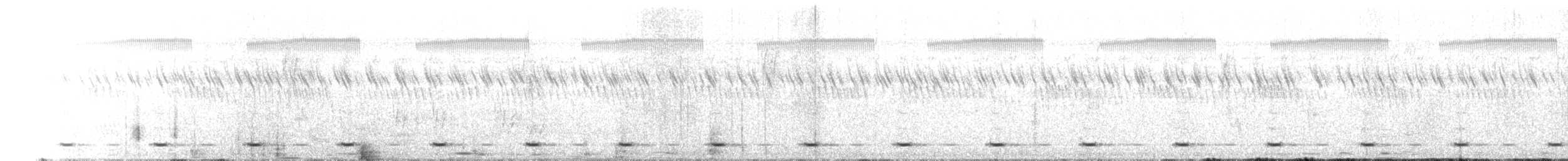 Yellow-fronted Tinkerbird - ML650984443