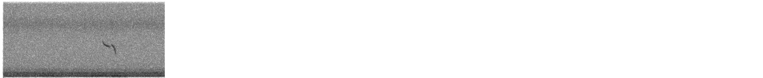 Hegatxabal adarduna - ML650990066