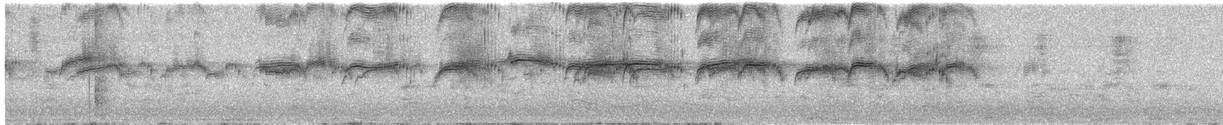 Серпокрилець чорний - ML650992596