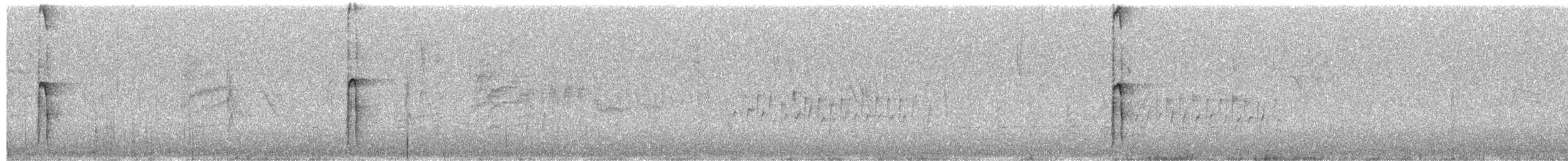 Hairy Woodpecker - ML650992657