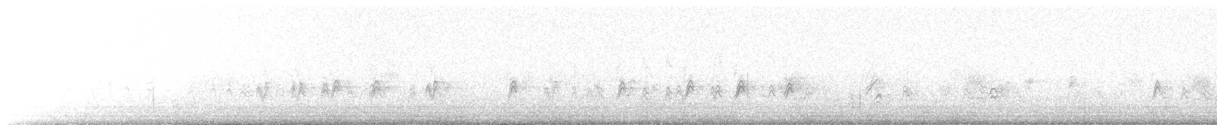 House Finch - ML650996565