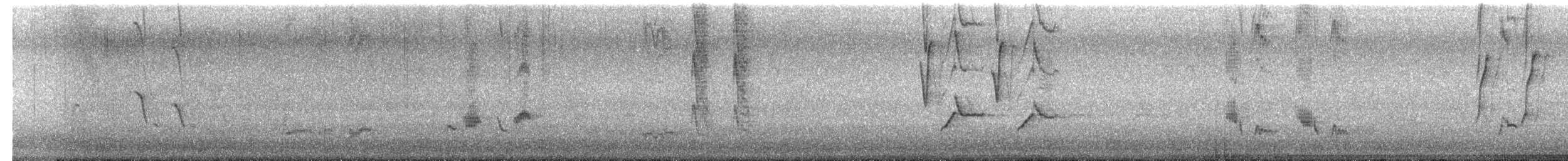 チャイロツグミモドキ - ML650997573