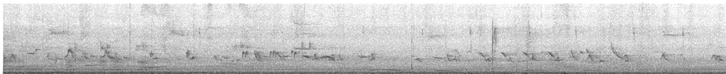 Northern Mockingbird - ML650998356