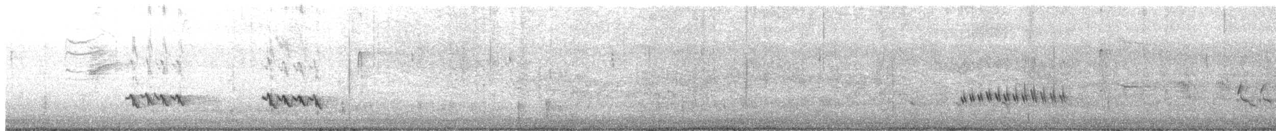 Northern Mockingbird - ML650998561