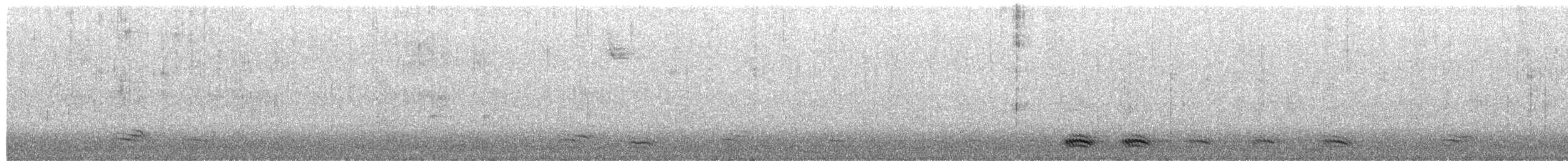 fiskekråke - ML650999016