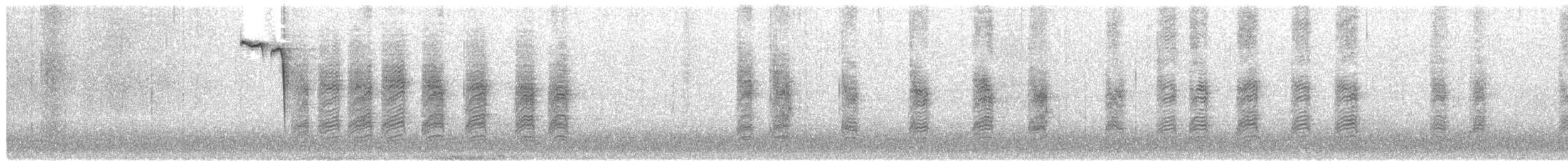Американская гренадерка - ML650999037