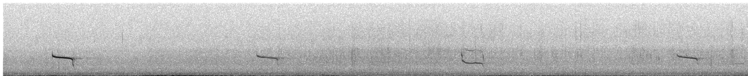 Boyaca Antpitta - ML650999883