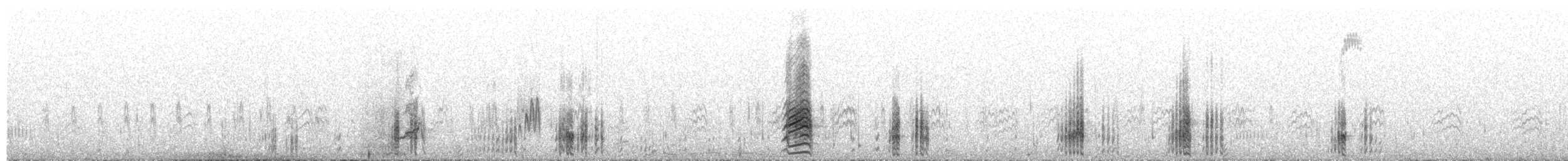 Cerceta Andina - ML650999902