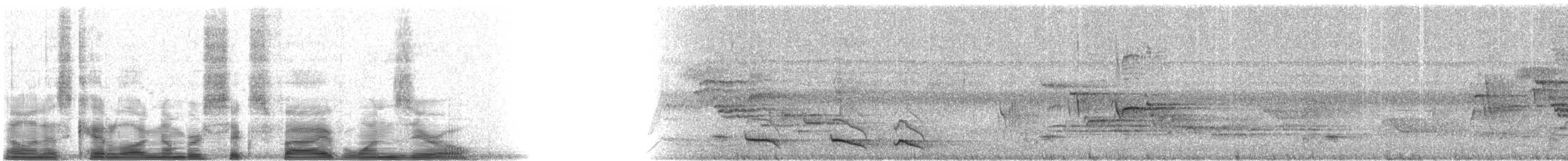 Collared Trogon (Xalapa) - ML6510