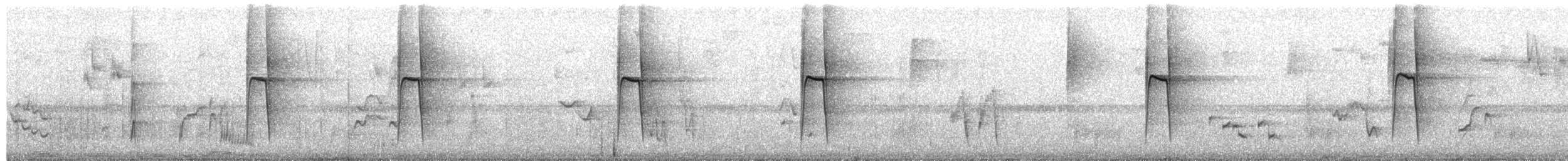 Rostbrust-Laubtyrann - ML651000230