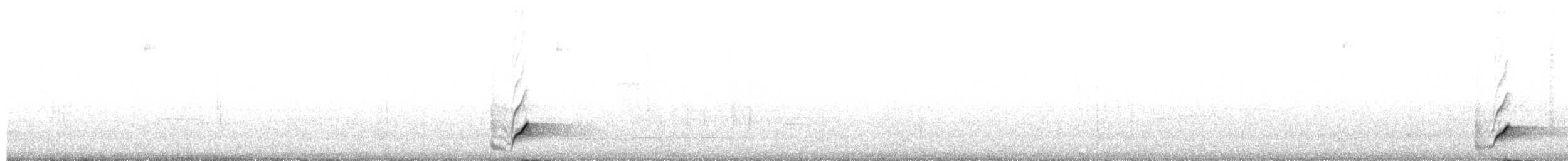 Bartstreif-Zaunkönig - ML651000268