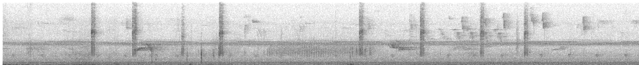 Schwarzohrkolibri - ML651000329