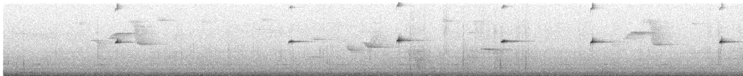 Silberhakenschnabel - ML651000356