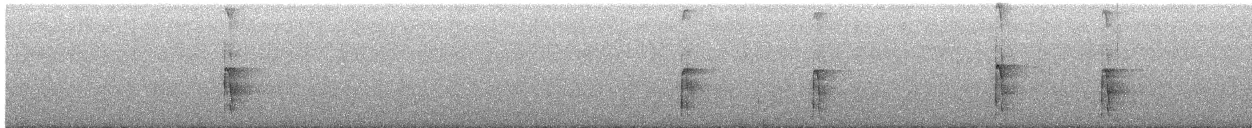 Hairy Woodpecker - ML651000472