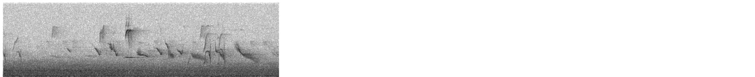 House Finch - ML651000557