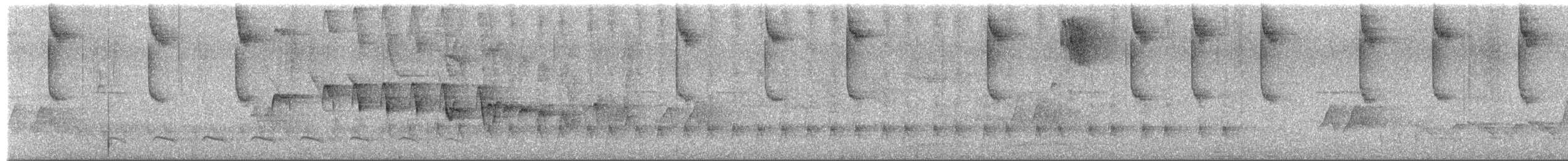 Bertoni's Antbird - ML651001172