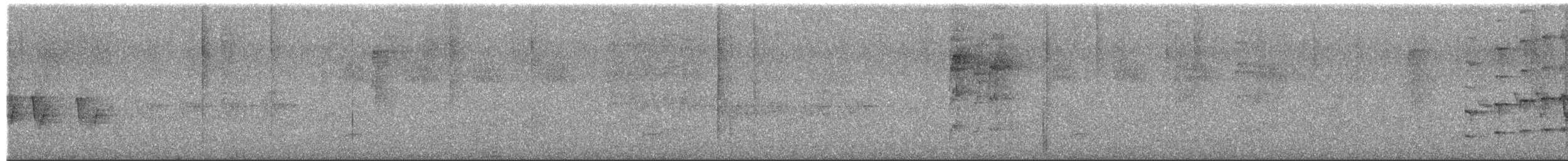 Brown-breasted Pygmy-Tyrant - ML651001424