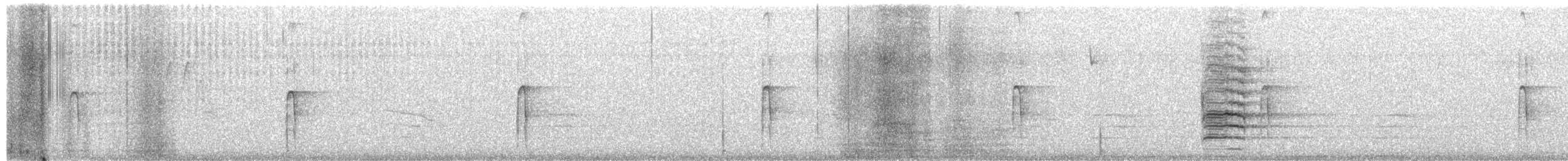 Hairy Woodpecker - ML651003723