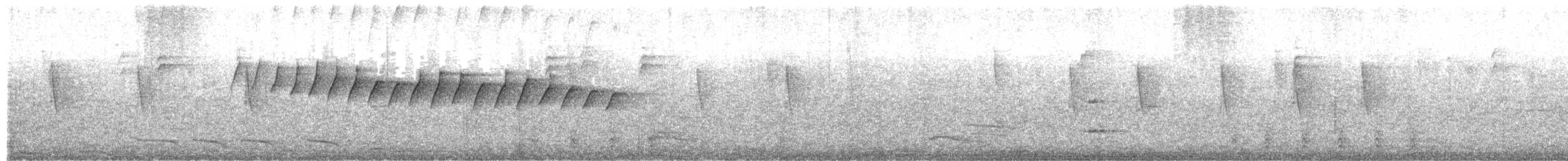 White-browed Gnatcatcher - ML651008219