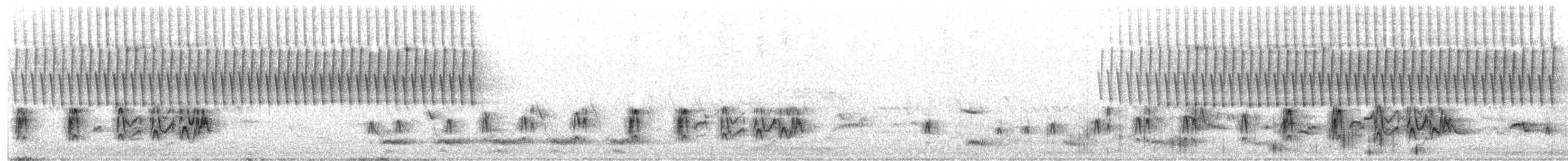 Длиннохвостый тиранн - ML651011065