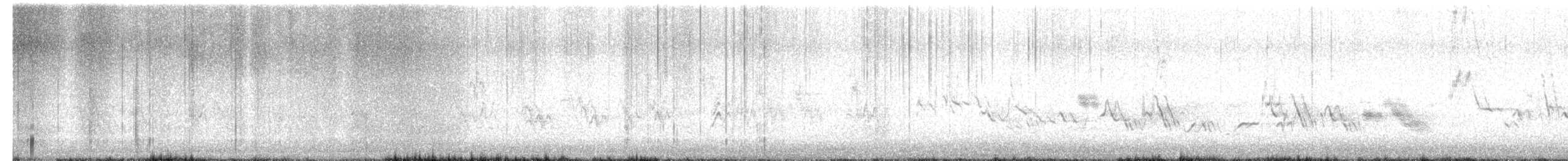 House Finch - ML651011538