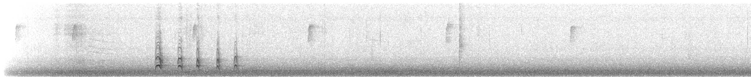 American Robin - ML651011586