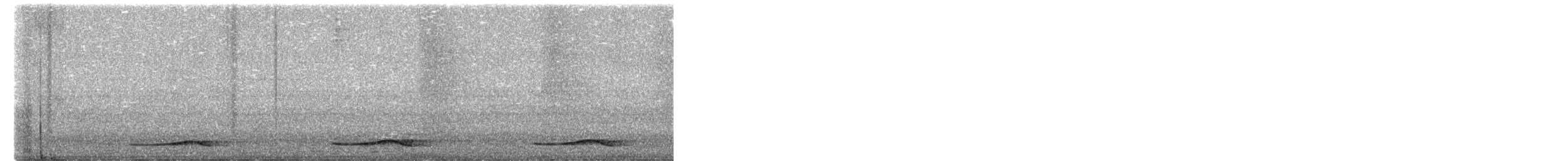 Asian Koel - ML651013161