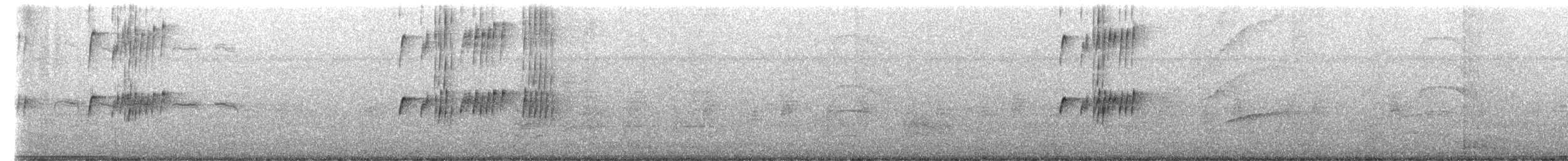 Gray Kingbird - ML651014107