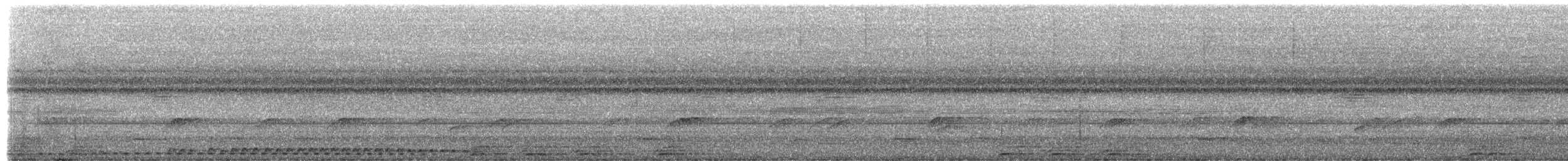 Puerto Rican Owl - ML651014115