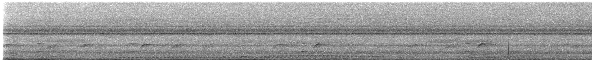 Puerto Rican Owl - ML651014116