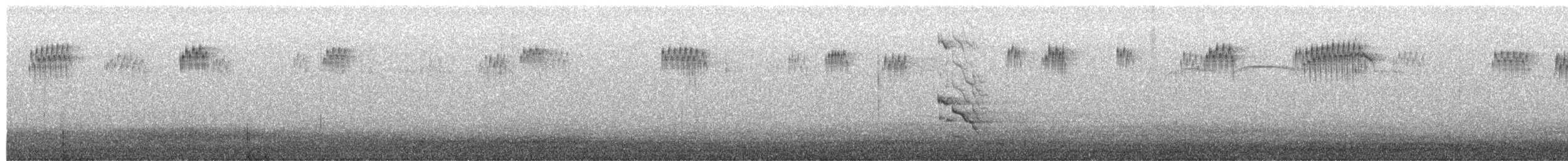 Buztanori amerikarra - ML651014122