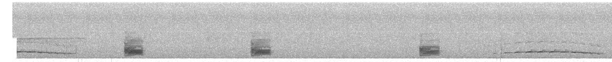 Spot-breasted Antvireo - ML651016551