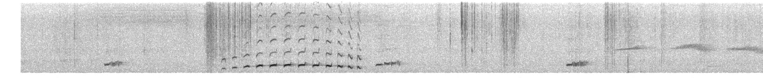 Spot-breasted Antvireo - ML651016552