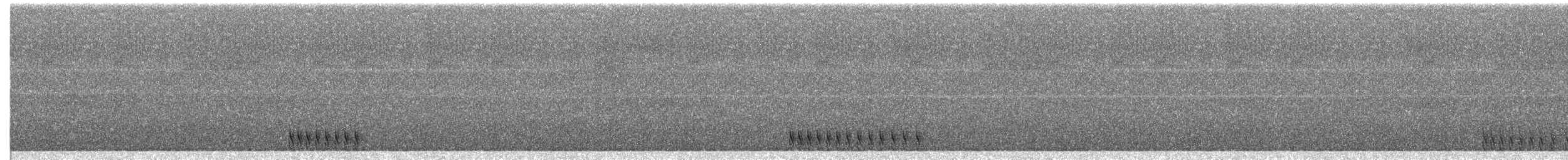Sooretama Slaty-Antshrike - ML651016583